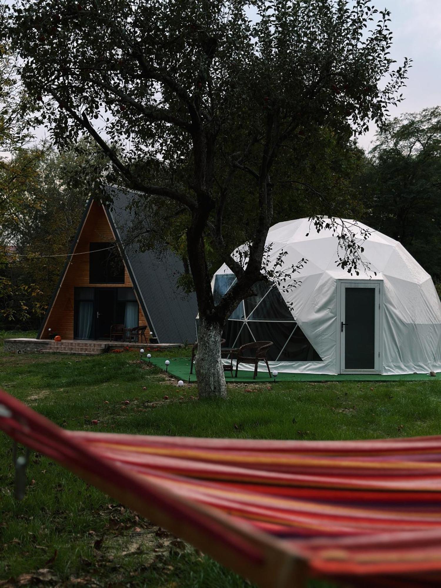 Hotel The Frog Glamping Horezu Exteriér fotografie