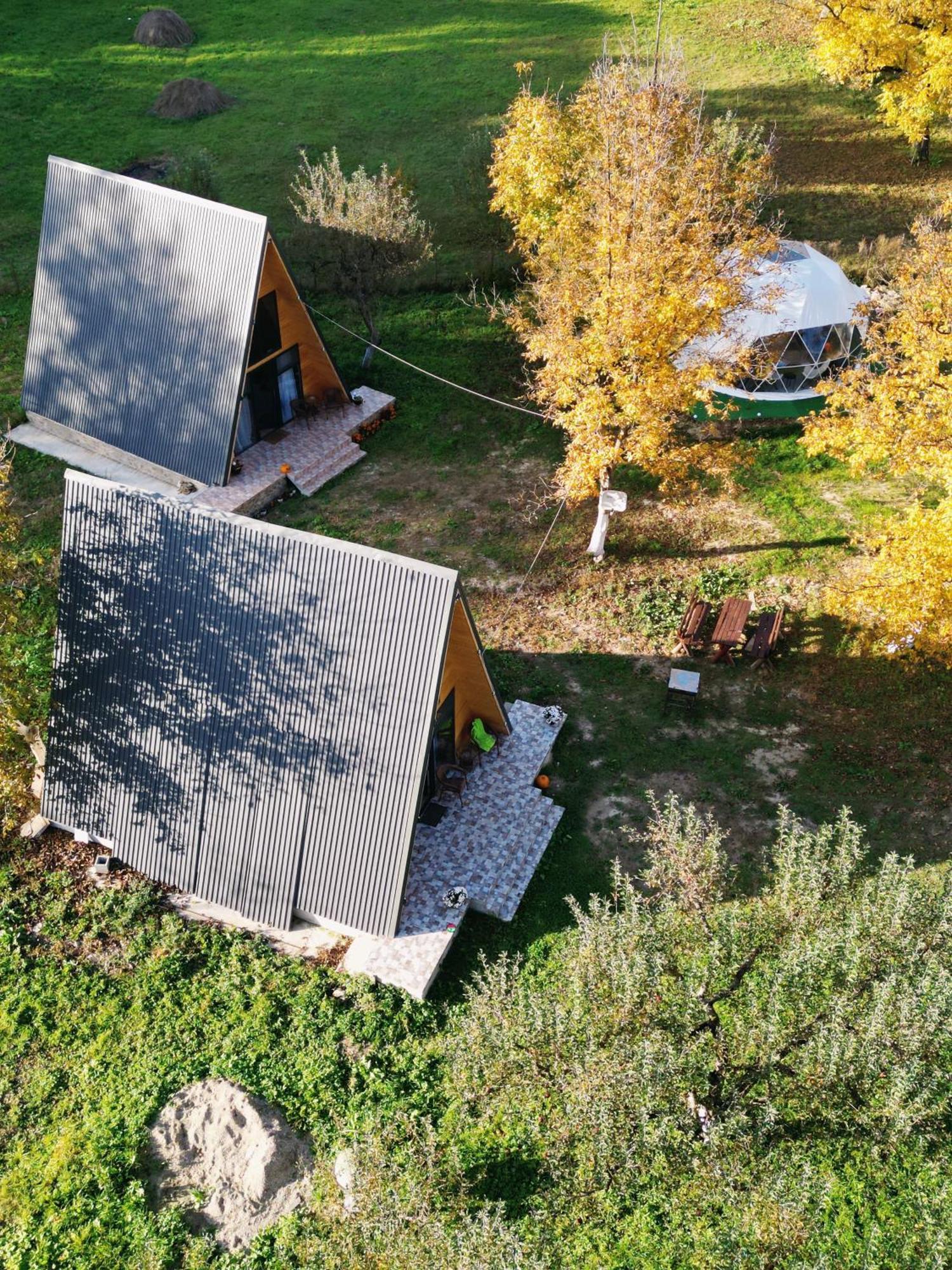 Hotel The Frog Glamping Horezu Exteriér fotografie