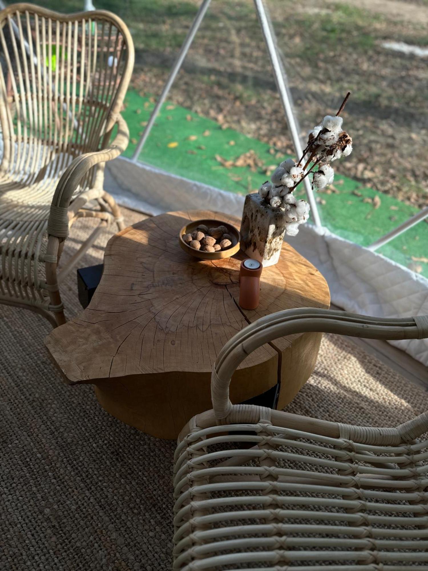 Hotel The Frog Glamping Horezu Exteriér fotografie