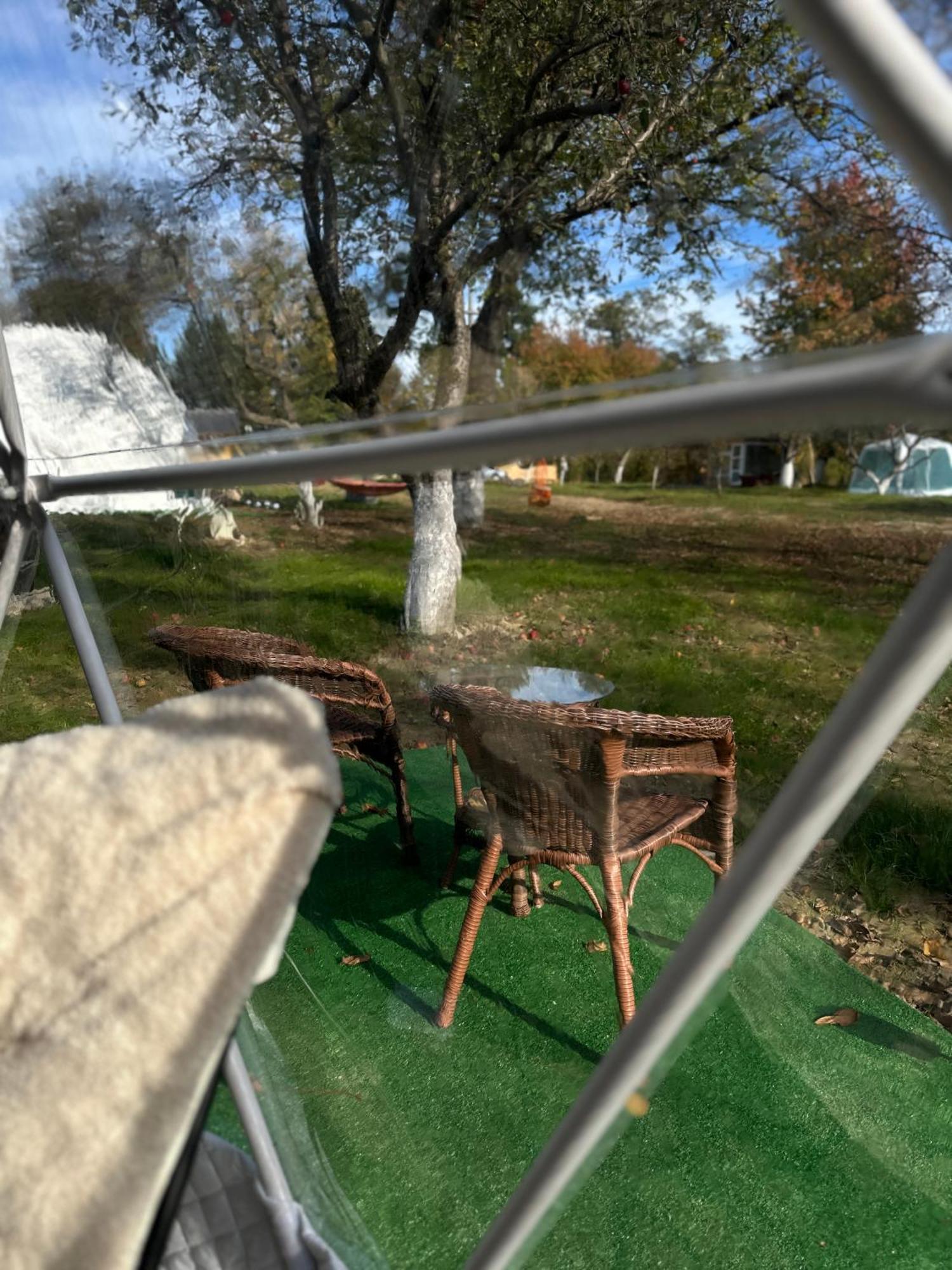 Hotel The Frog Glamping Horezu Exteriér fotografie