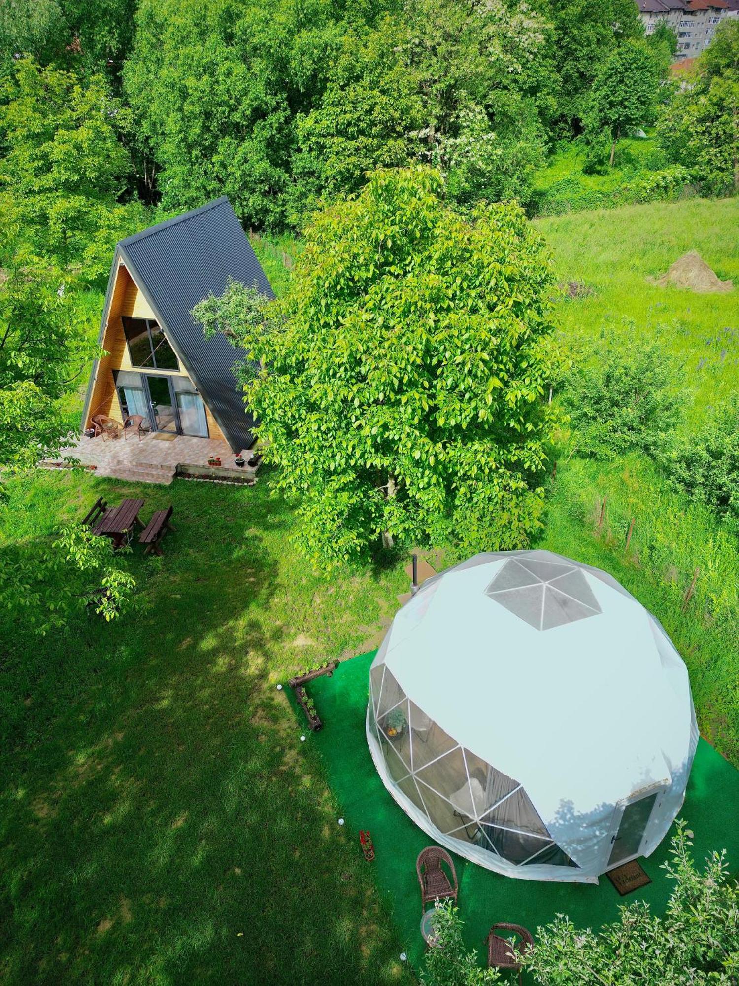 Hotel The Frog Glamping Horezu Exteriér fotografie