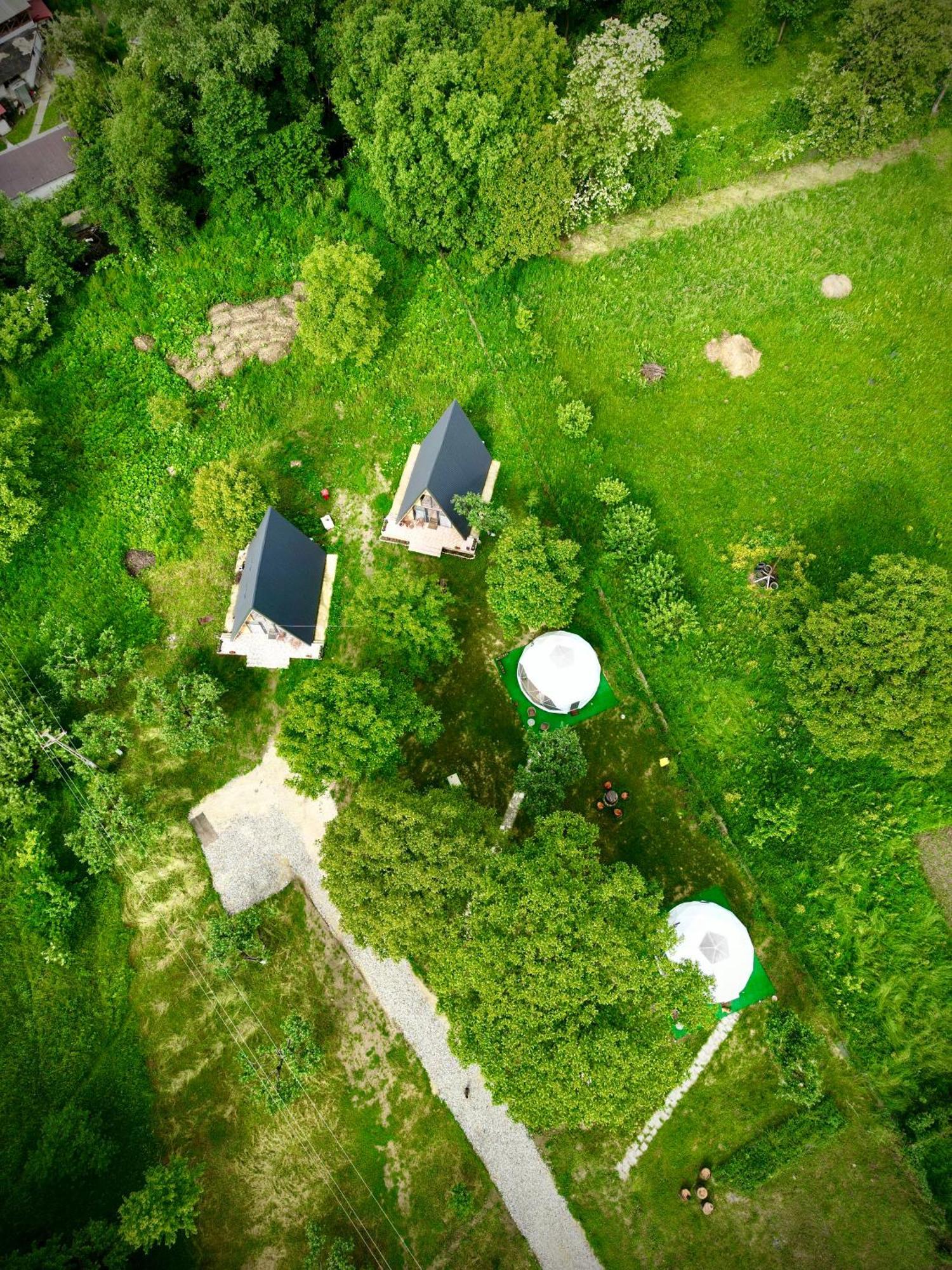 Hotel The Frog Glamping Horezu Exteriér fotografie