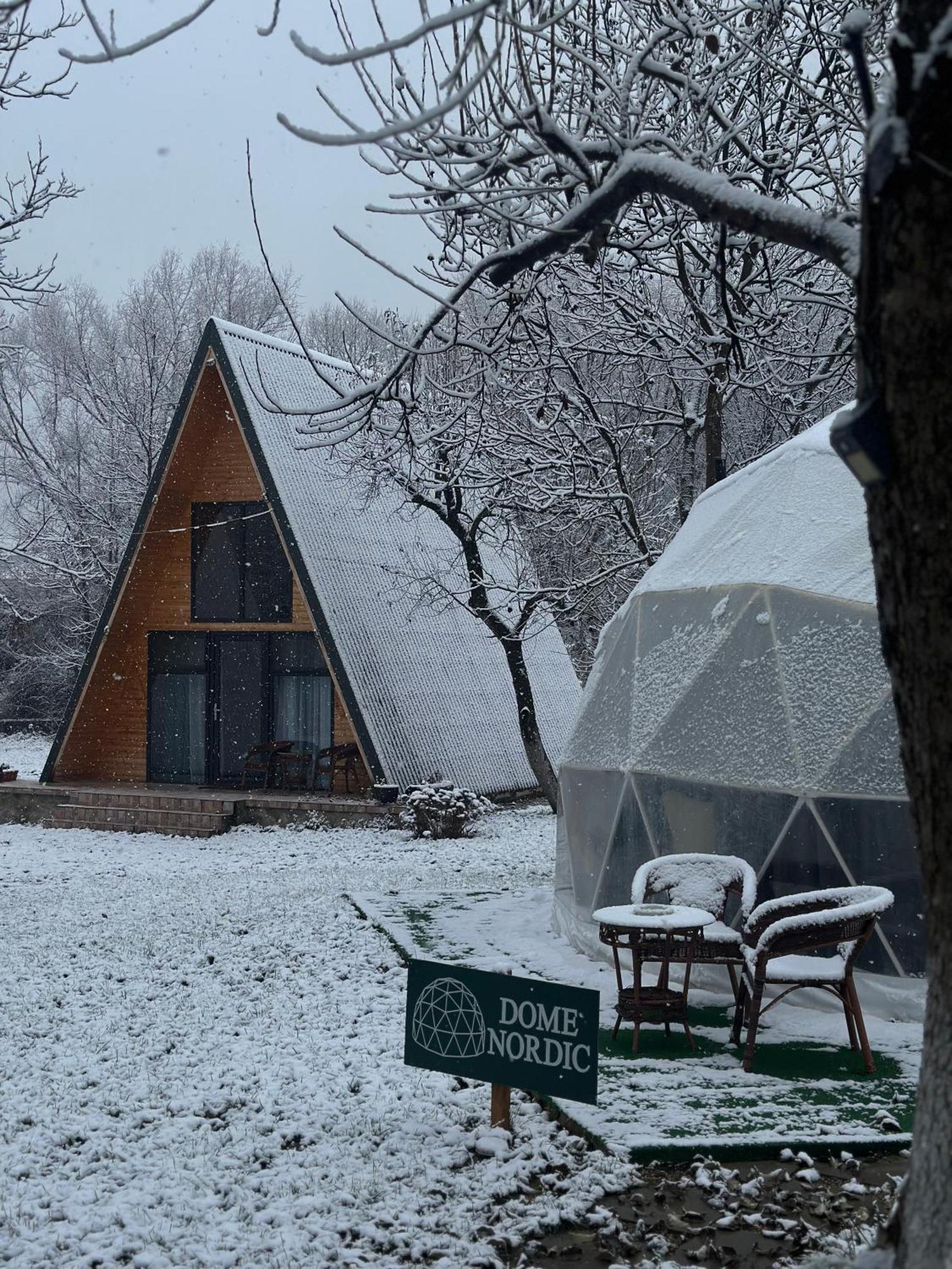 Hotel The Frog Glamping Horezu Exteriér fotografie
