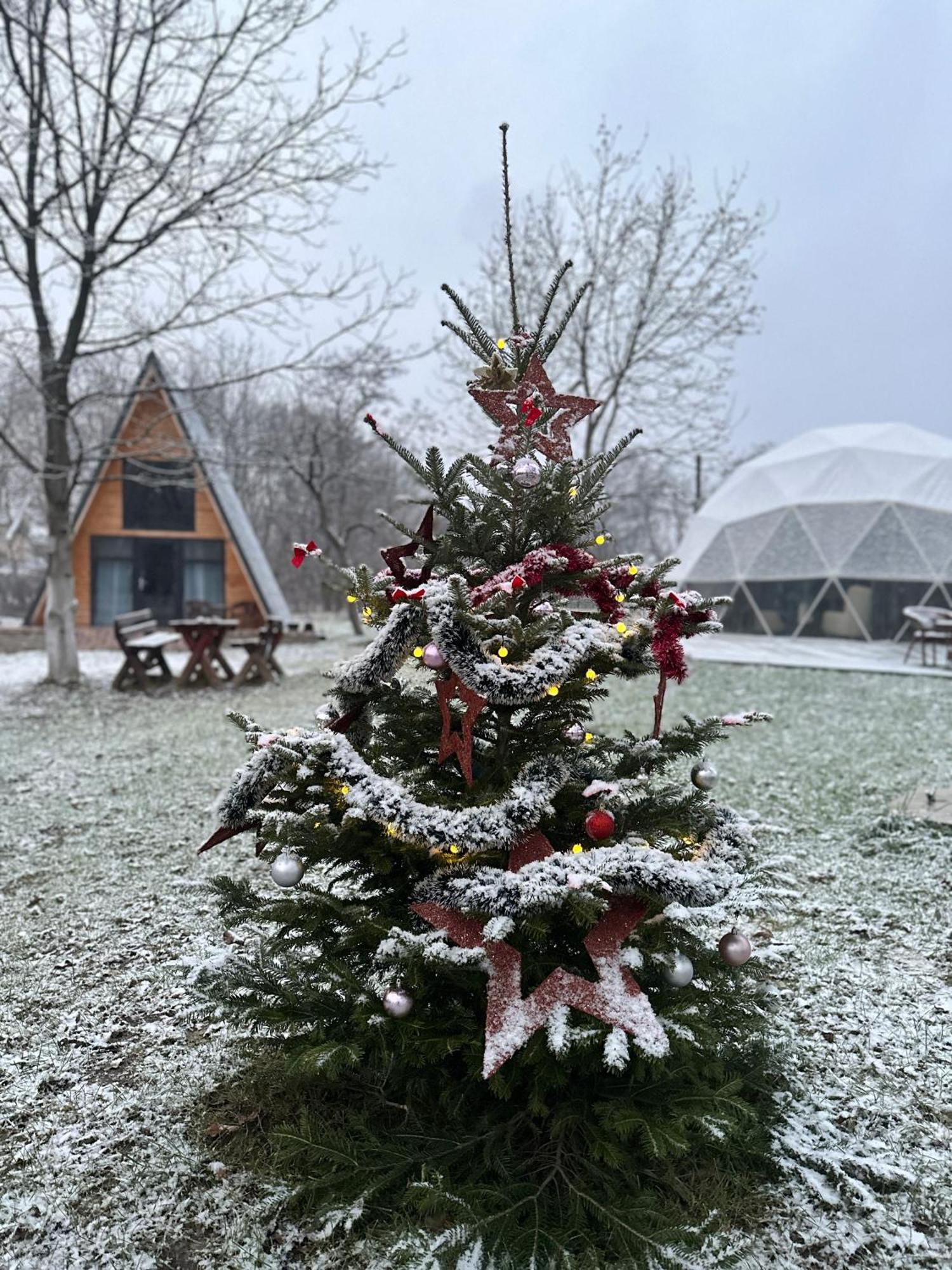 Hotel The Frog Glamping Horezu Exteriér fotografie