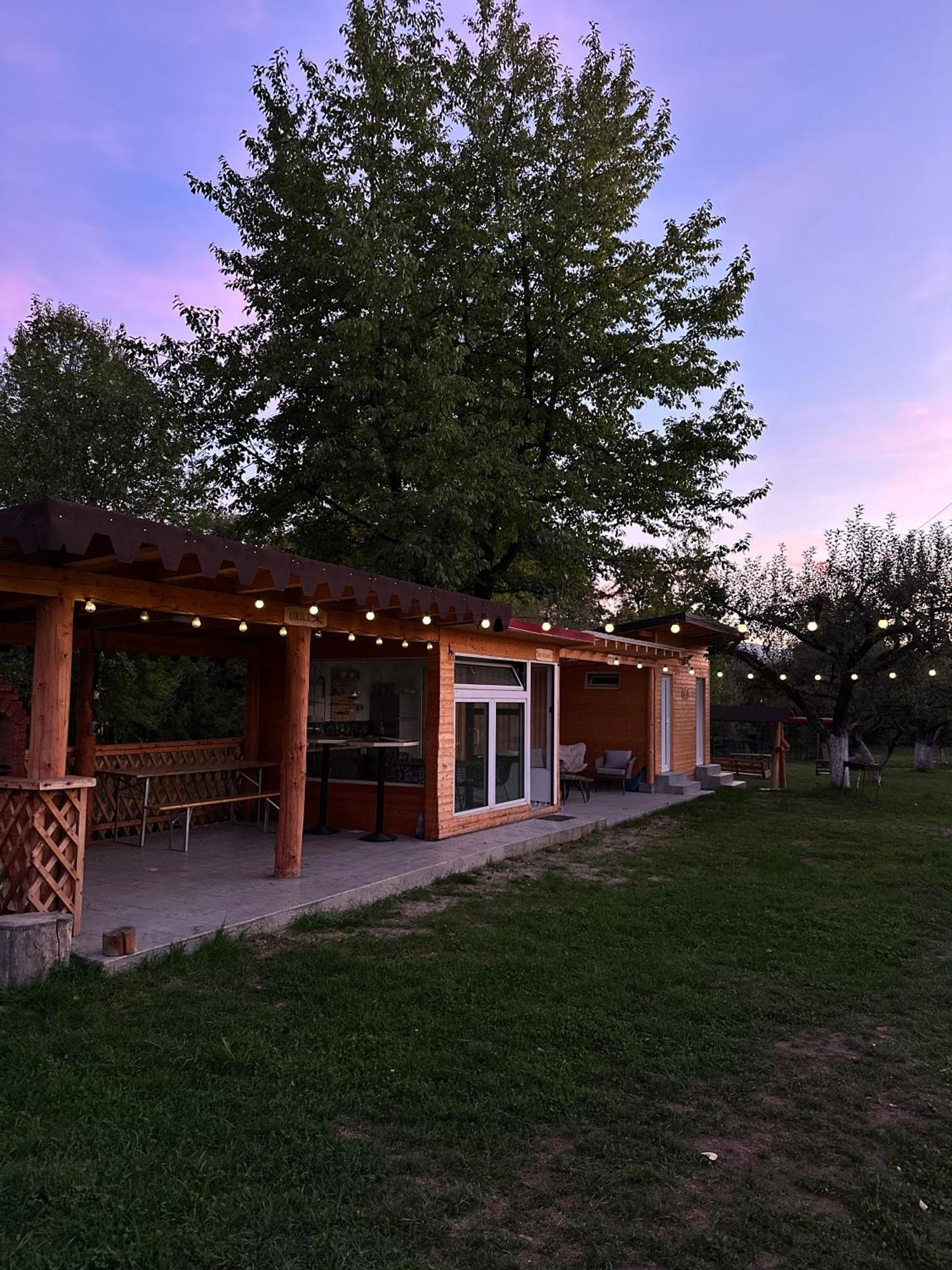 Hotel The Frog Glamping Horezu Exteriér fotografie