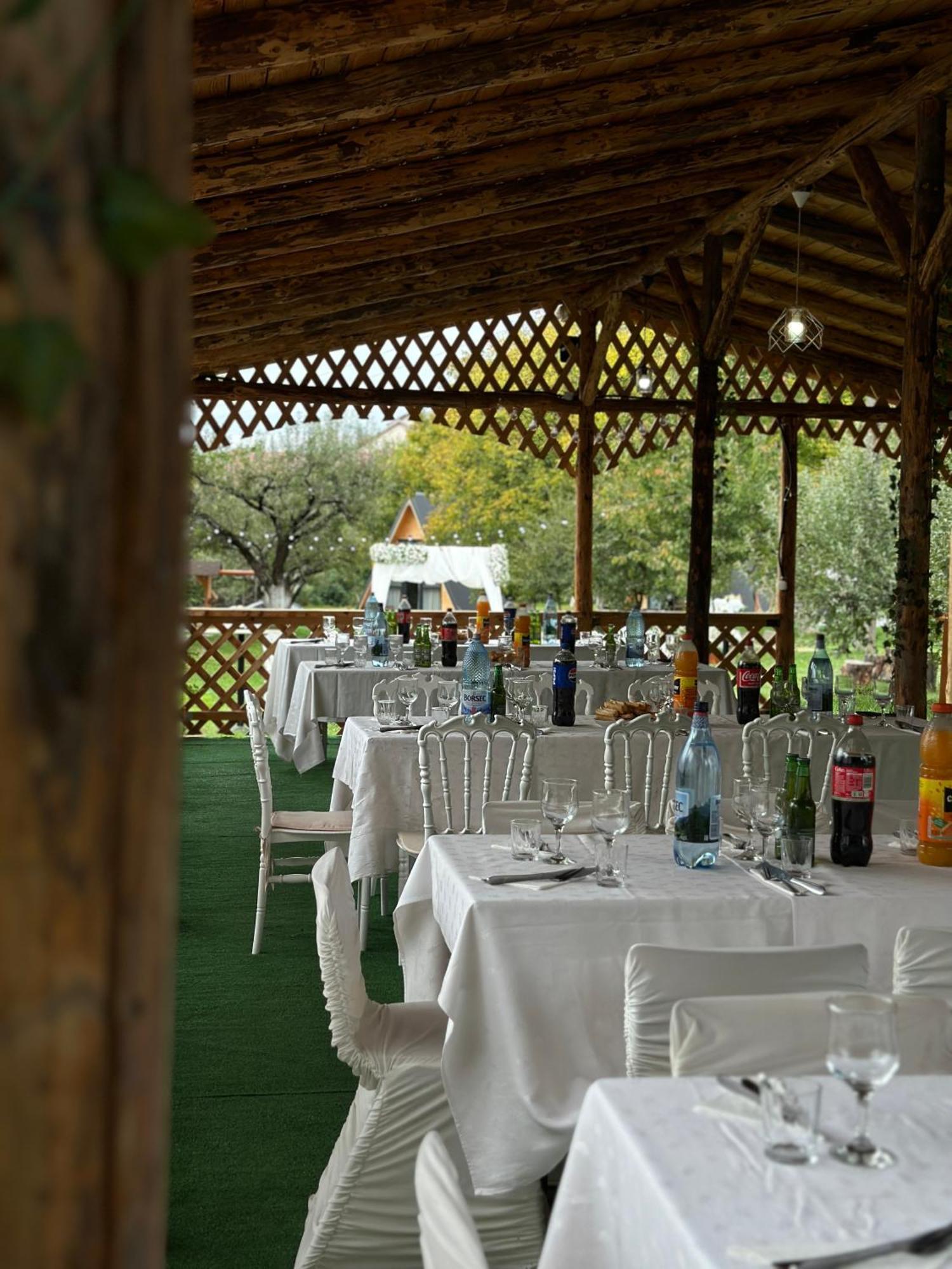 Hotel The Frog Glamping Horezu Exteriér fotografie